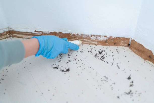 Best Residential Pest Control  in Green Meadows, OH